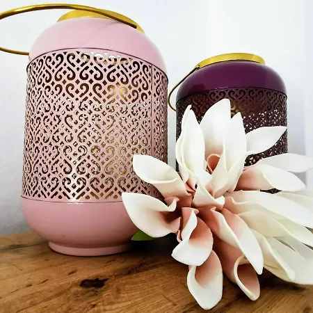 Rosmarie Am Elbradweg Tatil Evi