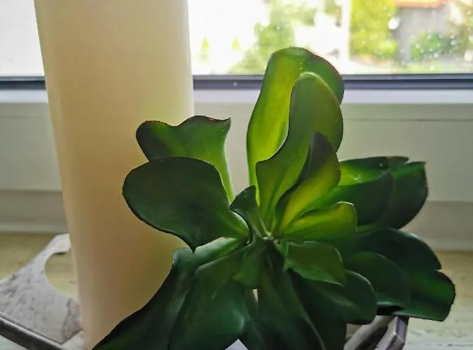 Rosmarie Am Elbradweg Semesterbostad Grodel